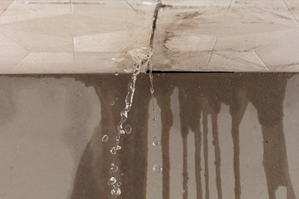 Professional Burst Pipe Cleanup technician working in Camp Sherman, OR